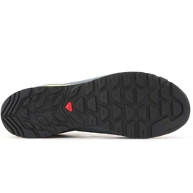 Zapatillas Salomon X Alp Spry Gtx M 401621 gris 17