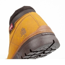 Zapatos Chukka Carrera CAM021057-01 marrón 13