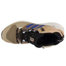Zapatillas Adidas Terrex Skychaser 2 Mid Gtx GY5063 beige 6