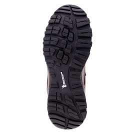 Zapatillas Hi-Tec Altitude Vi I Wp Wo 92800382670 marrón 3