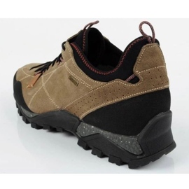 Zapatillas trekking Aku Nativa Gtx M 629036 beige 5