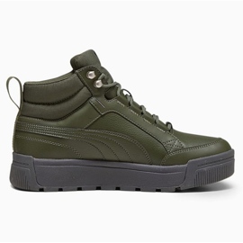 Zapatillas Puma Tarrenz Sb Iii Puretex M 393930-03 verde 6
