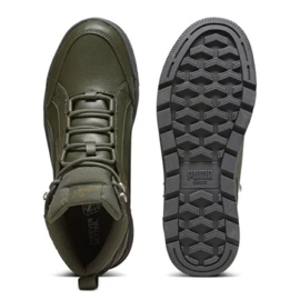 Zapatillas Puma Tarrenz Sb Iii Puretex M 393930-03 verde 8