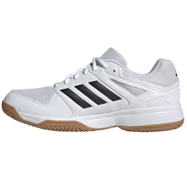 Zapatillas de voleibol Adidas Speedcourt M IE8032 blanco 8