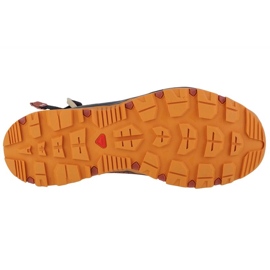 Zapatillas Salomon Techamphibian 5 471170 marrón 3