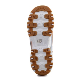 Zapatos Skechers D'Lites - Bold Views W 149589-NTMT multicolor 4