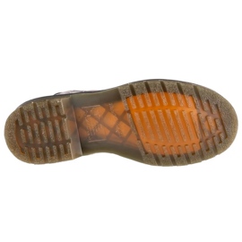 Dr. Martens doctor zapatos Martens 1460 Rosas podridas DM32070001 negro 3
