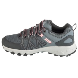 Columbia Zapatillas Peakfreak II OutDry 2100101053 gris 1