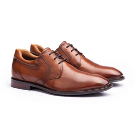 Zapatos Lloyd Monty M 13-084-14 marrón 1