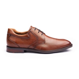 Zapatos Lloyd Monty M 13-084-14 marrón 2
