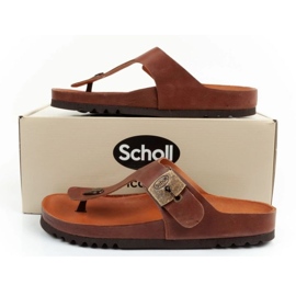 Scholl Chanclas Jake F306981011 marrón 9