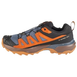 Salomon X Ultra 360 LTR GTX L47684900 Zapatos de trekking marrón 1