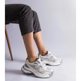 Zapatillas deportivas de mujer grises. 1 Zapatillas deportivas de mujer grises. 1