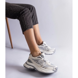 Zapatillas deportivas de mujer grises. 2 Zapatillas deportivas de mujer grises. 2