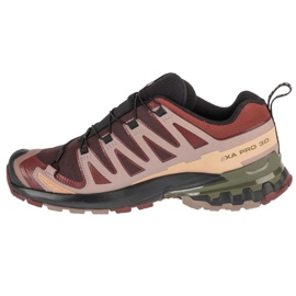 Salomon XA Pro 3D V9 GTX L47583500 Zapatos para correr marrón 1