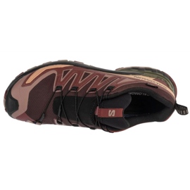 Salomon XA Pro 3D V9 GTX L47583500 Zapatos para correr marrón 2