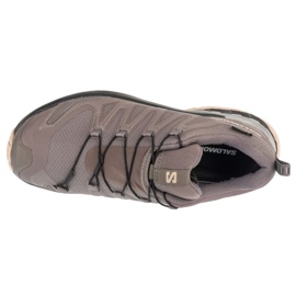 Salomon XA Pro 3D V9 GTX L47744500 Gray gris 2
