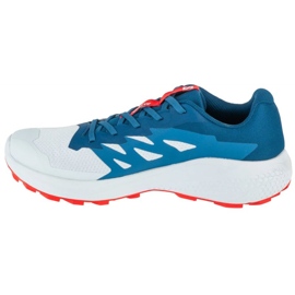 Salomon Alphaglide Ballad L477724300 Zapatos para correr gris 1