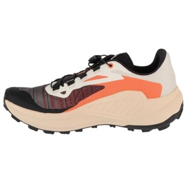 Salomon Genesis L47820400 zapatillas para correr multicolor 1