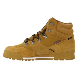 Zapatillas Adidas Terex Snowpitch C.RDY FV7960 marrón 4