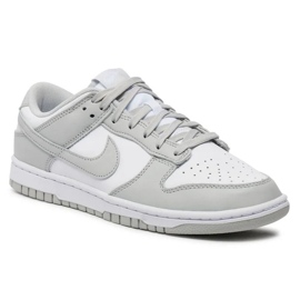 Nike Dunk Low Retro DD1391-103 Zapatos gris 1