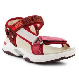 D.Franklin Sandalias D. Franklin Sneakers Sandal Strips DFSH406003-BURG rojo 1