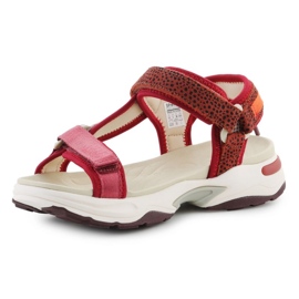 D.Franklin Sandalias D. Franklin Sneakers Sandal Strips DFSH406003-BURG rojo 3