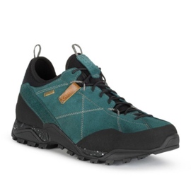 Aku Natuiva GTX Trekking Zapatos en 629676 verde 1