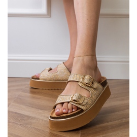 Aletas de beige-silver con abrazaderas en rayas plata 4