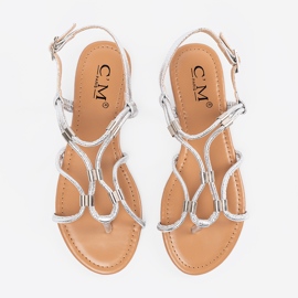 Silver Women's Flip -flops plata 3