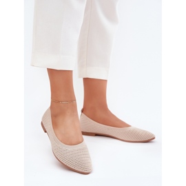 Beige -Mesh Material Ballerinas Ballerinas 3