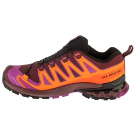 Salomon XA Pro 3D V9 GTX Running Shoes en L47961900 multicolor 1