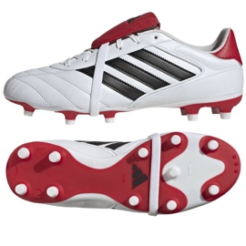 Adidas Copa Gloro II FG JR2871 Zapatos multicolor 1