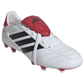 Adidas Copa Gloro II FG JR2871 Zapatos multicolor 3