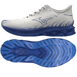 Mizuno Wave Skyrise 6 M J1GC250954 Zapatos 1