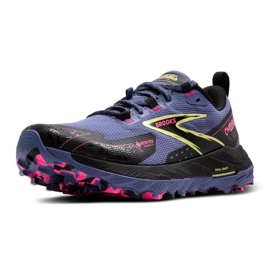 Cascadia 18 GTX Women's Running Shops 1