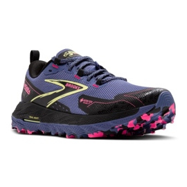Cascadia 18 GTX Women's Running Shops 7