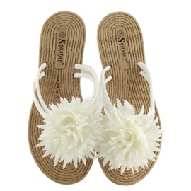 Blanco Chanclas blancas CK32P 5