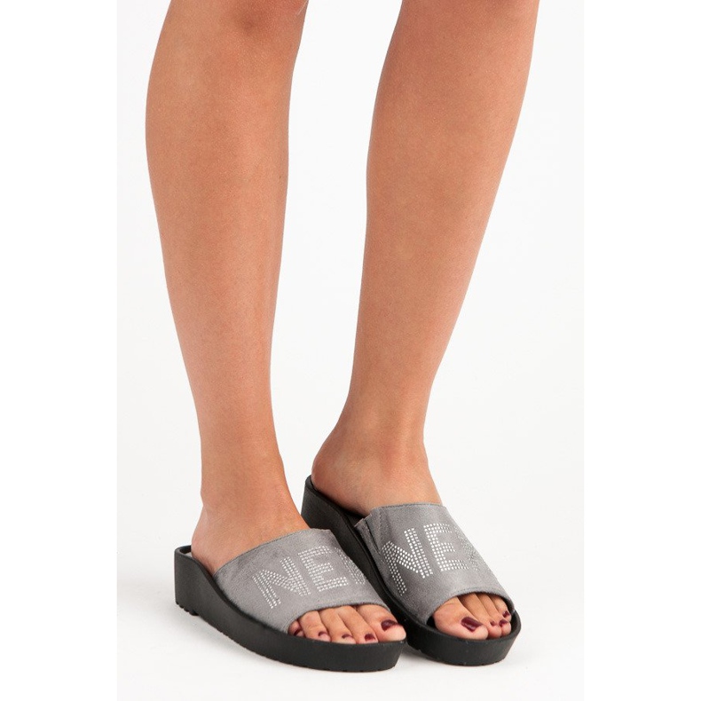 Babuchas vinceza ante gris 1