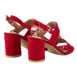 SDS Sandalias rojas en un post rojo 6