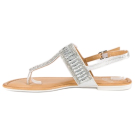 Chanclas plateadas gris 4