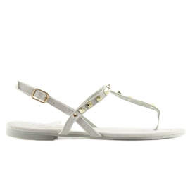Chanclas Gris 11-1 Gris 5