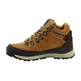 Camello deportivo trekking Big Star 274637 marrón multicolor 2