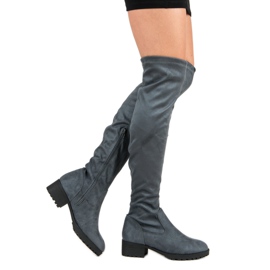 Queentina Botas sobre la rodilla de ante gris 3