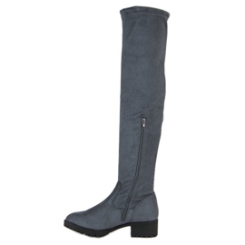 Queentina Botas sobre la rodilla de ante gris 1