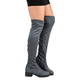 Queentina Botas sobre la rodilla de ante gris 2
