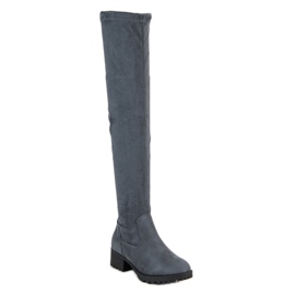 Queentina Botas sobre la rodilla de ante gris 4