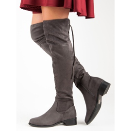Queen Vivi Botas sobre la rodilla de ante gris 4