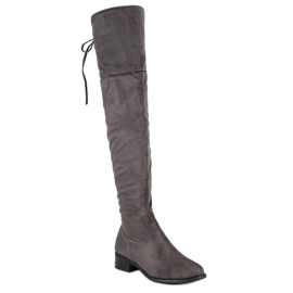 Queen Vivi Botas sobre la rodilla de ante gris 1