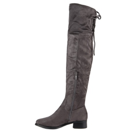 Queen Vivi Botas sobre la rodilla de ante gris 2